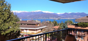 Pettirosso Stresa